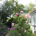 IMG_1989213