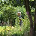 IMG_1989215