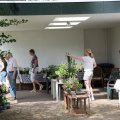 IMG_1989222