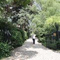 IMG_1989229