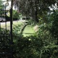 IMG_1989235