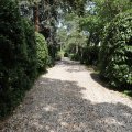 IMG_1989236