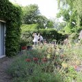 IMG_1989252