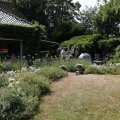 IMG_1989258