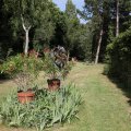 IMG_1989259
