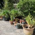 IMG_1989265