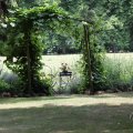 IMG_1989293