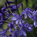 IMG_1989343