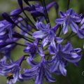IMG_1989344