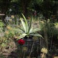 IMG_1989345
