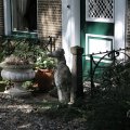 IMG_1989350
