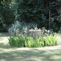 IMG_1989352